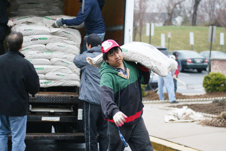 032809-mulch (6).jpg